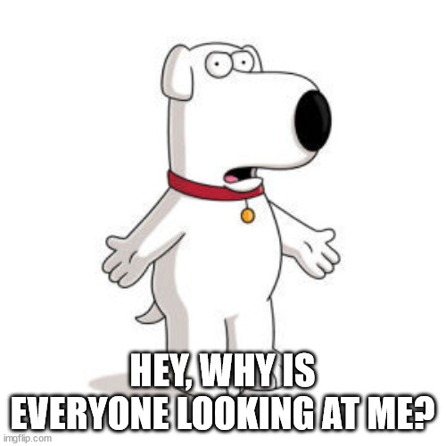 Family Guy Brian Meme | HEY, WHY IS EVERYONE LOOKING AT ME? | image tagged in memes,family guy brian | made w/ Imgflip meme maker