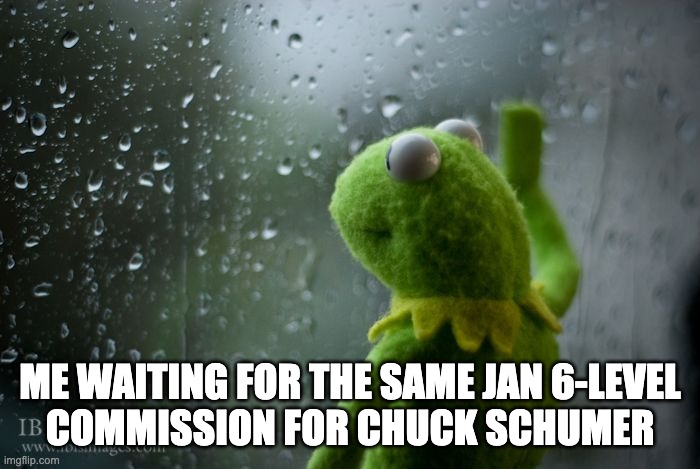 Not Holding My Breath | ME WAITING FOR THE SAME JAN 6-LEVEL     COMMISSION FOR CHUCK SCHUMER | image tagged in kermit window,january 6,chuck schumer | made w/ Imgflip meme maker