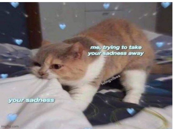 :) | image tagged in cat,helping | made w/ Imgflip meme maker