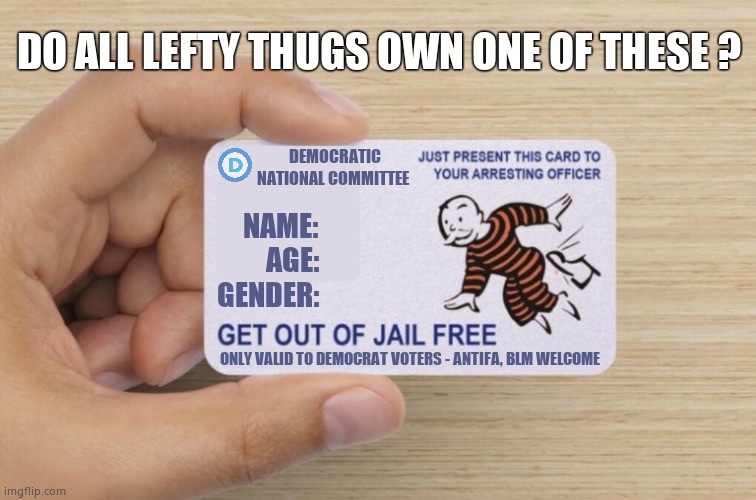Lefty get out of jail free card. | DO ALL LEFTY THUGS OWN ONE OF THESE ? DEMOCRATIC NATIONAL COMMITTEE; NAME:
    AGE:
GENDER:; ONLY VALID TO DEMOCRAT VOTERS - ANTIFA, BLM WELCOME | image tagged in memes,democrats,antifa,blm,corruption,political meme | made w/ Imgflip meme maker