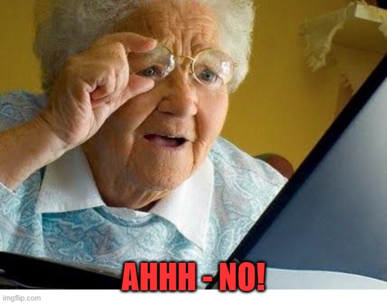 old lady at computer | AHHH - NO! | image tagged in old lady at computer | made w/ Imgflip meme maker
