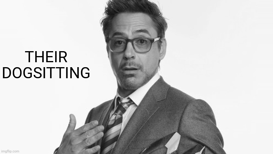 Robert Downey Jr's Comments | THEIR DOGSITTING | image tagged in robert downey jr's comments | made w/ Imgflip meme maker