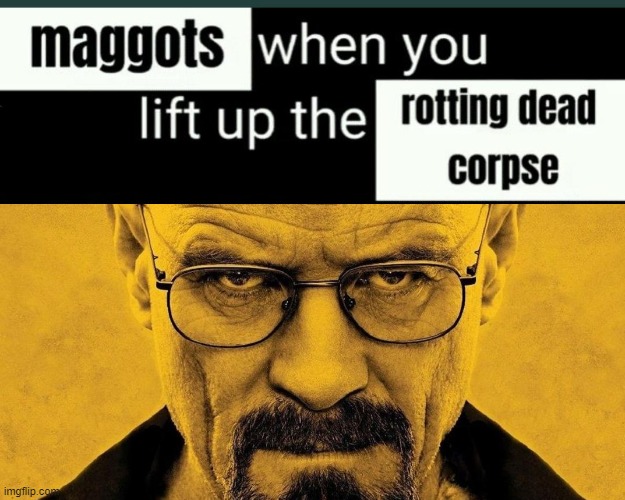 Maggots when you lift up the dead rotting corpse | image tagged in breaking bad,anime meme,replaced with breaking bad,walter white | made w/ Imgflip meme maker