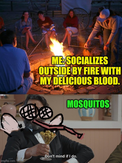 Mosquitos be like... | ME: SOCIALIZES OUTSIDE BY FIRE WITH MY DELICIOUS BLOOD. MOSQUITOS | image tagged in campfire,don't mind if i do | made w/ Imgflip meme maker
