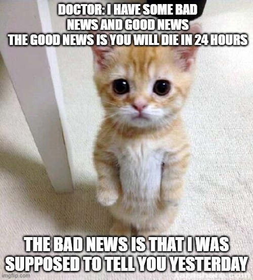 Cute Cat Meme | DOCTOR: I HAVE SOME BAD NEWS AND GOOD NEWS
THE GOOD NEWS IS YOU WILL DIE IN 24 HOURS; THE BAD NEWS IS THAT I WAS SUPPOSED TO TELL YOU YESTERDAY | image tagged in memes,cute cat | made w/ Imgflip meme maker