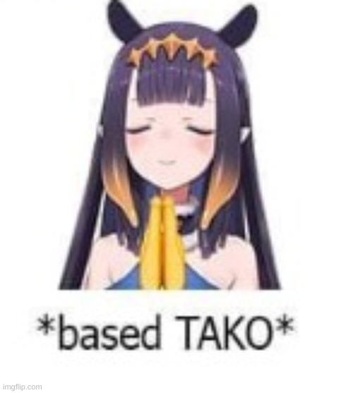 msmg in a nutshell | image tagged in based tako hololive | made w/ Imgflip meme maker