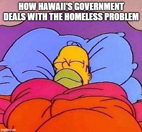 Homer Simpson sleeping peacefully | HOW HAWAII'S GOVERNMENT DEALS WITH THE HOMELESS PROBLEM | image tagged in homer simpson sleeping peacefully | made w/ Imgflip meme maker