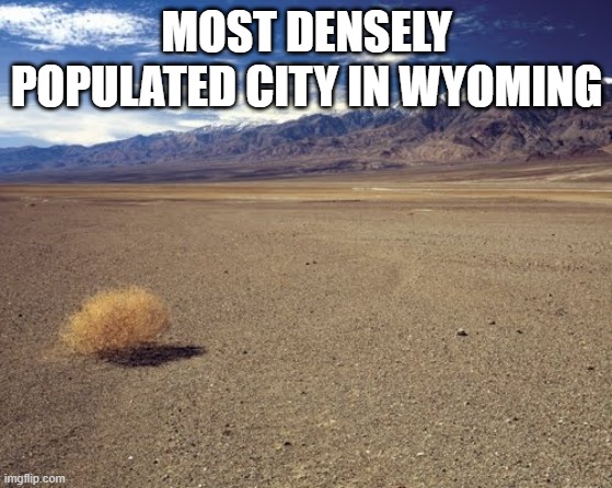 desert tumbleweed | MOST DENSELY POPULATED CITY IN WYOMING | image tagged in desert tumbleweed | made w/ Imgflip meme maker