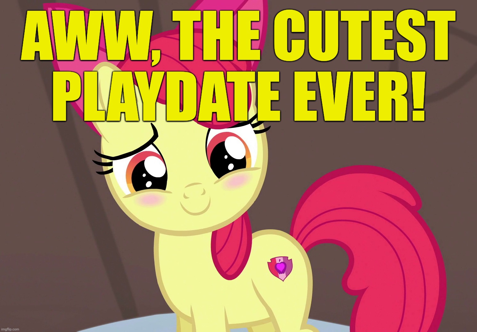 Cute Applebloom (MLP) | AWW, THE CUTEST PLAYDATE EVER! | image tagged in cute applebloom mlp | made w/ Imgflip meme maker