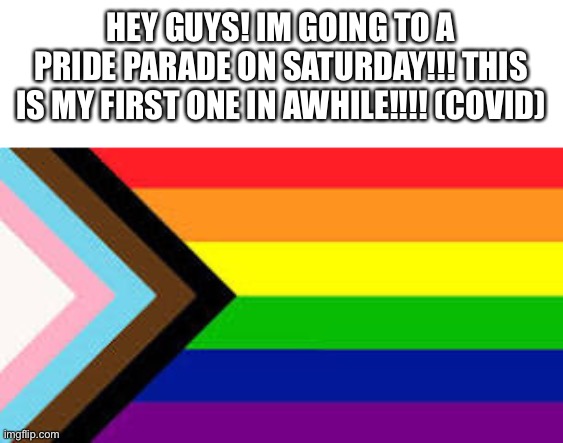my parents might buy me a flag!!! | HEY GUYS! IM GOING TO A PRIDE PARADE ON SATURDAY!!! THIS IS MY FIRST ONE IN AWHILE!!!! (COVID) | image tagged in lgbtqia flag,pride month | made w/ Imgflip meme maker