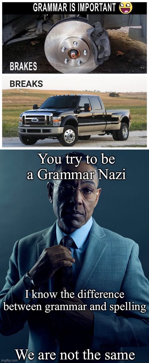 You not funny | You try to be a Grammar Nazi; I know the difference between grammar and spelling; We are not the same | image tagged in gus fring we are not the same,memes,grammar,grammar nazi,spelling | made w/ Imgflip meme maker