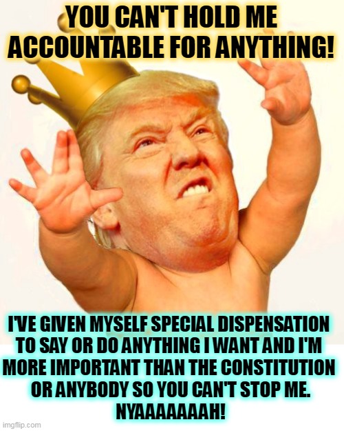 "Call me irresponsible..." | YOU CAN'T HOLD ME ACCOUNTABLE FOR ANYTHING! I'VE GIVEN MYSELF SPECIAL DISPENSATION 

TO SAY OR DO ANYTHING I WANT AND I'M 
MORE IMPORTANT THAN THE CONSTITUTION 
OR ANYBODY SO YOU CAN'T STOP ME.
NYAAAAAAAH! | image tagged in trump baby crown,responsibility,constitution,teenager,selfishness | made w/ Imgflip meme maker