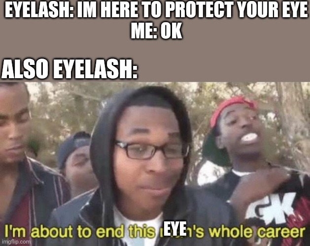 I hate when my eyelash gets un my eye | EYELASH: IM HERE TO PROTECT YOUR EYE
ME: OK; ALSO EYELASH:; EYE | image tagged in i m about to end this man s whole career | made w/ Imgflip meme maker