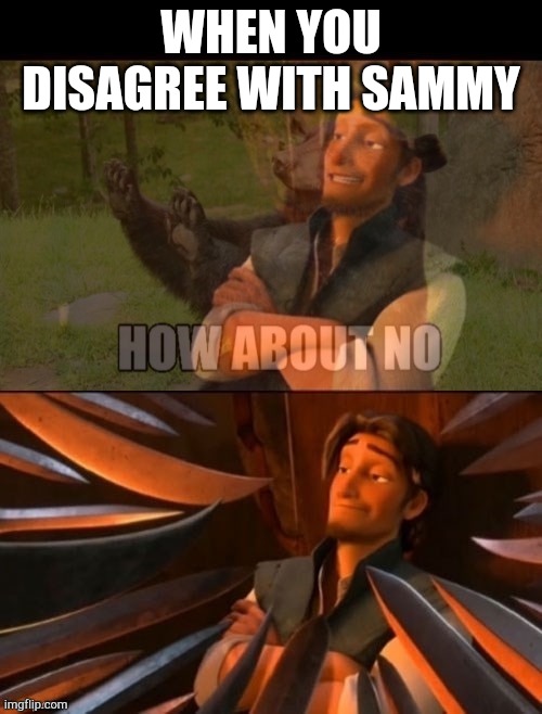 Flynn Rider how about no | WHEN YOU DISAGREE WITH SAMMY | image tagged in flynn rider how about no | made w/ Imgflip meme maker