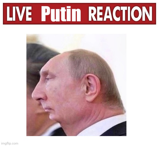 Putin | image tagged in live x reaction,blank white template | made w/ Imgflip meme maker