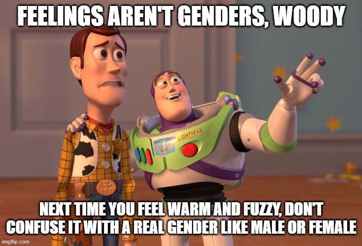 When you discover the dumb-dumb in the room identifies as "cake gender." | FEELINGS AREN'T GENDERS, WOODY; NEXT TIME YOU FEEL WARM AND FUZZY, DON'T CONFUSE IT WITH A REAL GENDER LIKE MALE OR FEMALE | image tagged in memes,x x everywhere | made w/ Imgflip meme maker