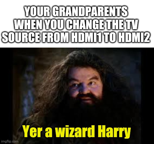 Tek | YOUR GRANDPARENTS WHEN YOU CHANGE THE TV SOURCE FROM HDMI1 TO HDMI2; Yer a wizard Harry | image tagged in blank white template,hagrid yer a wizard | made w/ Imgflip meme maker