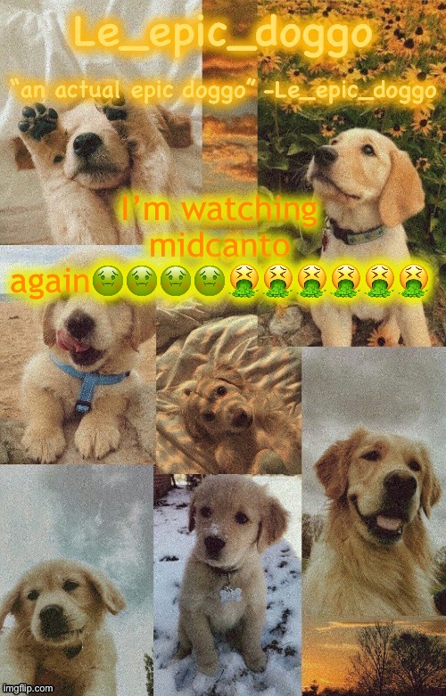 Doggo temp by doggo. Wait what that’s confusing | I’m watching midcanto again🤢🤢🤢🤢🤮🤮🤮🤮🤮🤮 | image tagged in doggo temp by doggo wait what that s confusing | made w/ Imgflip meme maker