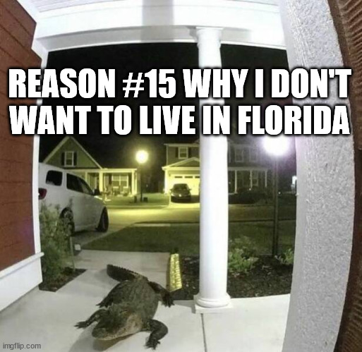 Don't live in Florida |  REASON #15 WHY I DON'T WANT TO LIVE IN FLORIDA | image tagged in florida,alligator,no way jose,reasons | made w/ Imgflip meme maker