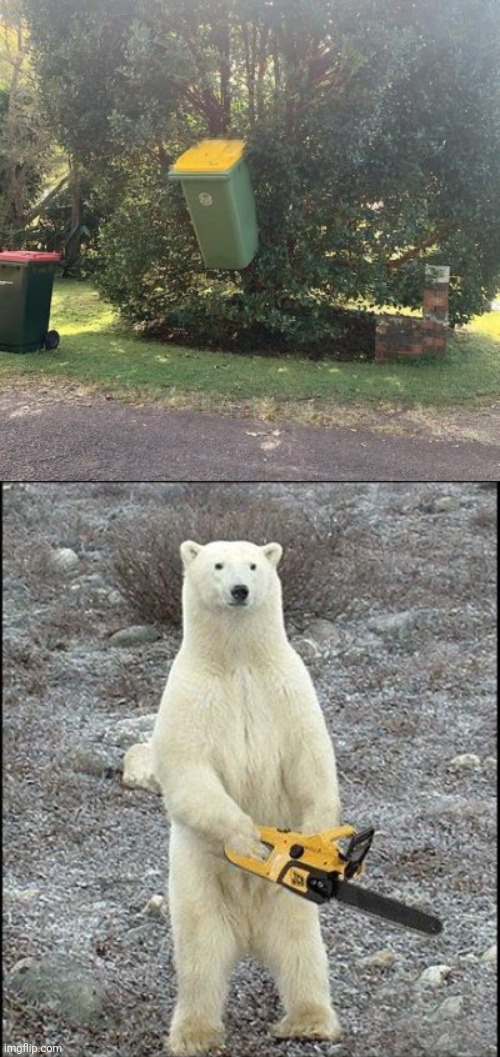 Chopping time | image tagged in chainsaw polar bear,outside,you had one job,fails,fail,memes | made w/ Imgflip meme maker