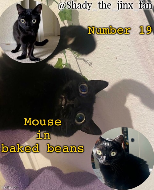 Insert copypasta | Number 19; Mouse in baked beans | image tagged in pure vanilla | made w/ Imgflip meme maker