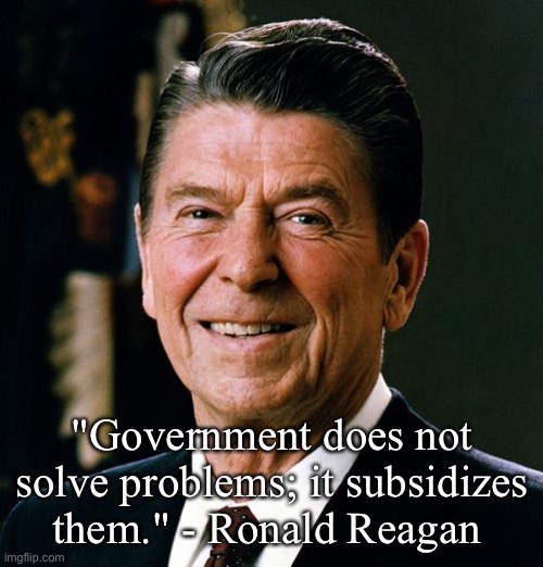Government does not solve problems | "Government does not solve problems; it subsidizes them." - Ronald Reagan | image tagged in ronald reagan face,government,famous quotes,conservative | made w/ Imgflip meme maker