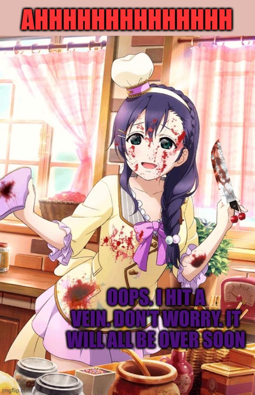 Yandere dates gone wrong | AHHHHHHHHHHHHHH; OOPS. I HIT A VEIN. DON'T WORRY. IT WILL ALL BE OVER SOON | image tagged in yandere,nozomi,cooking,meat | made w/ Imgflip meme maker