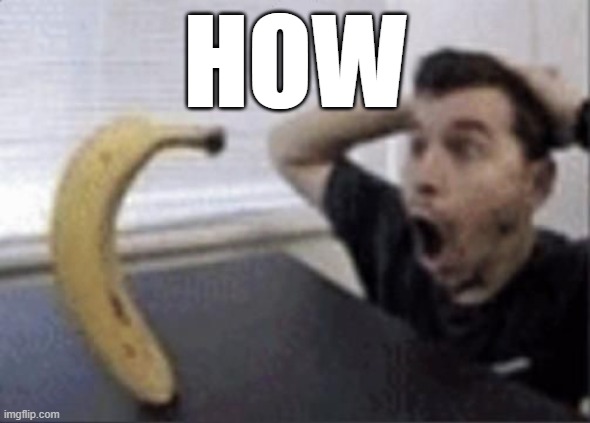 guy and banana meme | HOW | image tagged in guy and banana meme | made w/ Imgflip meme maker