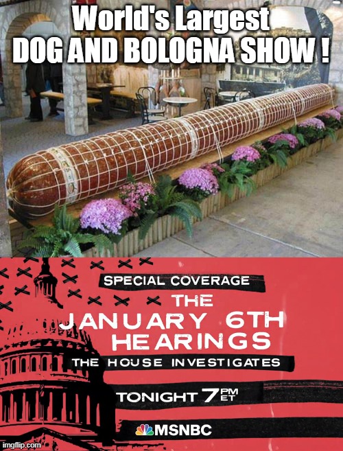Wonder which channel will have the best coverage of BYRD murdering Ashley ? | World's Largest DOG AND BOLOGNA SHOW ! | image tagged in memes,january,garbage | made w/ Imgflip meme maker