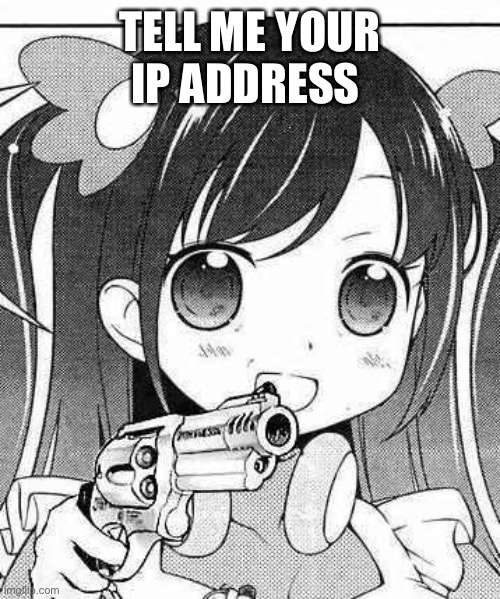 Do it | TELL ME YOUR IP ADDRESS | image tagged in anime girl with a gun | made w/ Imgflip meme maker