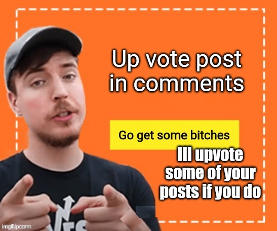 Mr beast | Up vote post in comments; Ill upvote some of your posts if you do | image tagged in mr beast | made w/ Imgflip meme maker