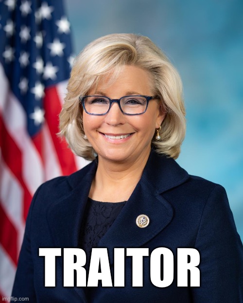 January 6th |  TRAITOR | image tagged in politics,criminal | made w/ Imgflip meme maker