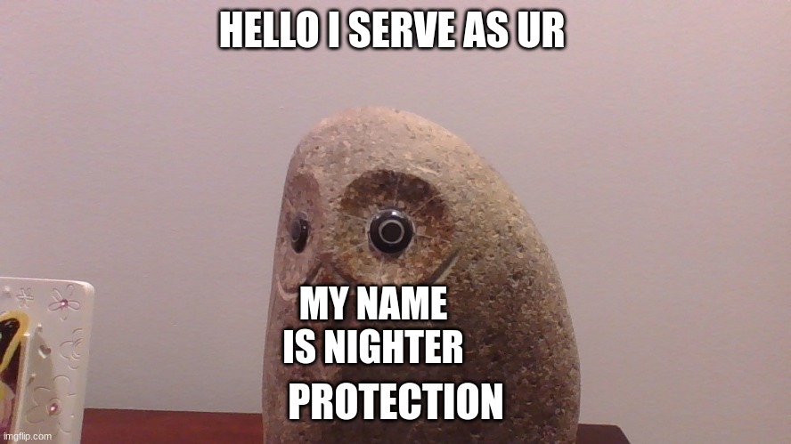 nighter | HELLO I SERVE AS UR; MY NAME IS NIGHTER; PROTECTION | image tagged in memes | made w/ Imgflip meme maker