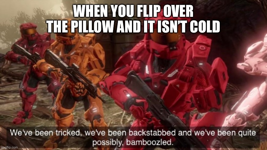 Summertime vibes |  WHEN YOU FLIP OVER THE PILLOW AND IT ISN’T COLD | image tagged in we've been tricked | made w/ Imgflip meme maker