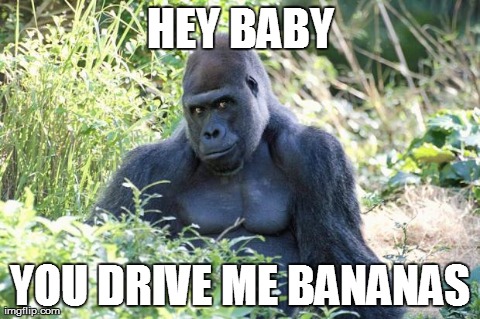 HEY BABY YOU DRIVE ME BANANAS | image tagged in sexy gorilla,AdviceAnimals | made w/ Imgflip meme maker