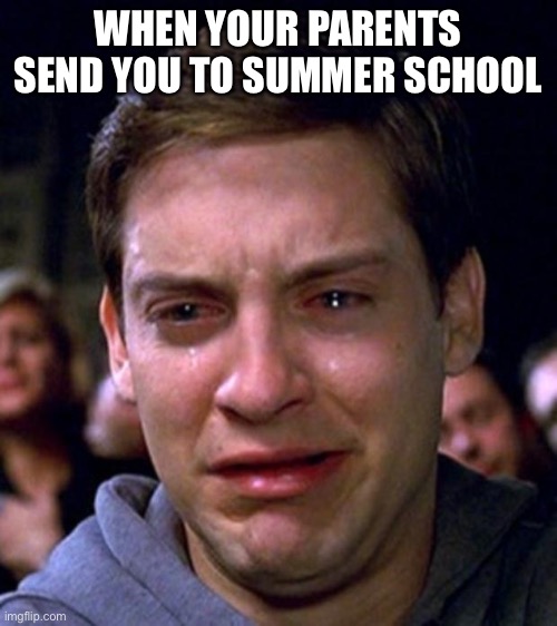 crying peter parker | WHEN YOUR PARENTS SEND YOU TO SUMMER SCHOOL | image tagged in crying peter parker | made w/ Imgflip meme maker