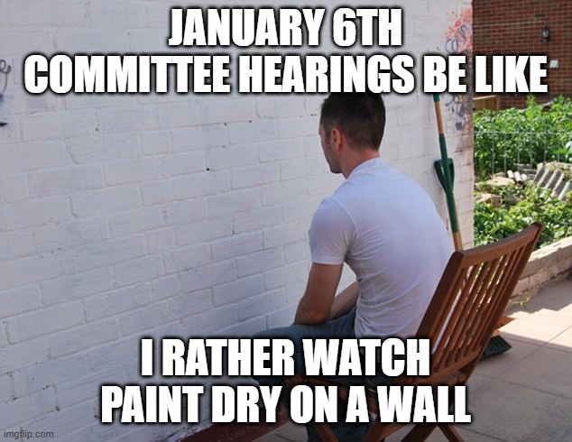 This Hearing is a Complete Sham. | JANUARY 6TH COMMITTEE HEARINGS BE LIKE; I RATHER WATCH PAINT DRY ON A WALL | image tagged in watching paint dry,january,hearing,riot | made w/ Imgflip meme maker