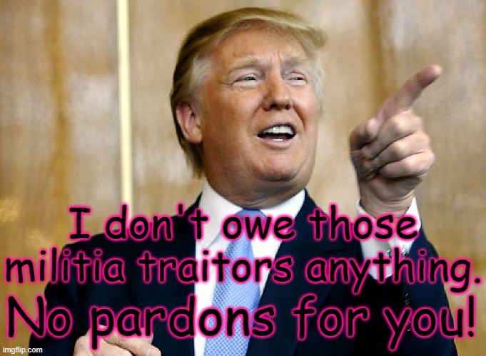 Donald "No Pardons" Trump and the Militias | I don't owe those militia traitors anything. No pardons for you! | image tagged in donald trump pointing,militia,trump,insurrection,treason | made w/ Imgflip meme maker