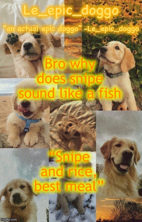 Doggo temp by doggo. Wait what that’s confusing | Bro why does snipe sound like a fish; “Snipe and rice, best meal” | image tagged in doggo temp by doggo wait what that s confusing | made w/ Imgflip meme maker