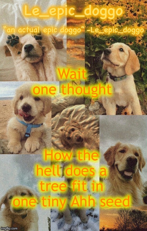 Doggo temp by doggo. Wait what that’s confusing | Wait one thought; How the hell does a tree fit in one tiny Ahh seed | image tagged in doggo temp by doggo wait what that s confusing | made w/ Imgflip meme maker
