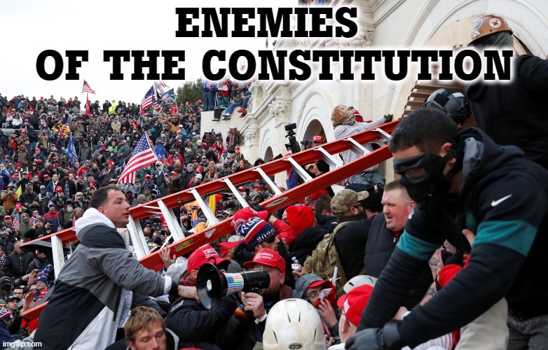 The only heroes here are the cops. | ENEMIES 
OF THE CONSTITUTION | image tagged in qanon - insurrection - trump riot - sedition,qanon,riot,coup,losers | made w/ Imgflip meme maker