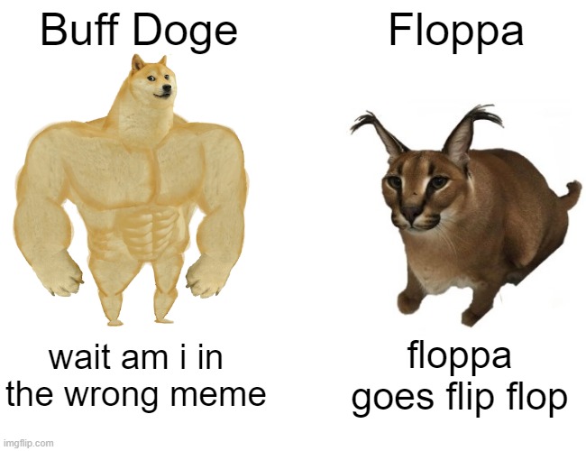 Floppa | Buff Doge; Floppa; wait am i in the wrong meme; floppa goes flip flop | image tagged in memes,buff doge vs cheems | made w/ Imgflip meme maker