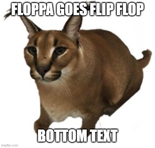 floppa |  FLOPPA GOES FLIP FLOP; BOTTOM TEXT | image tagged in big floppa | made w/ Imgflip meme maker