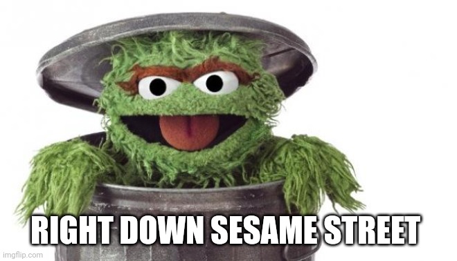 Oscar trashcan Sesame street | RIGHT DOWN SESAME STREET | image tagged in oscar trashcan sesame street | made w/ Imgflip meme maker