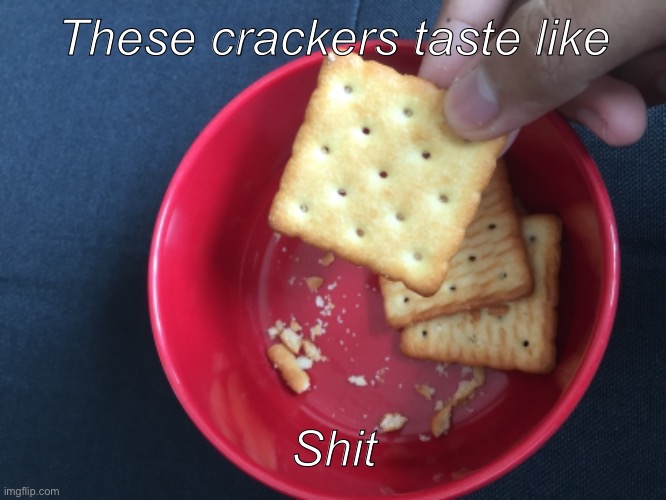 These crackers taste like; Shit | made w/ Imgflip meme maker
