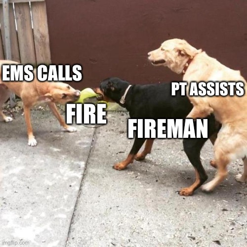 Firefighter | EMS CALLS; PT ASSISTS; FIRE; FIREMAN | image tagged in dogs fighting and fucking | made w/ Imgflip meme maker