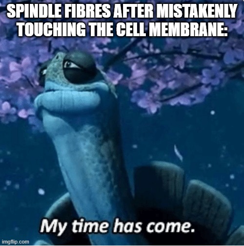 Science | SPINDLE FIBRES AFTER MISTAKENLY TOUCHING THE CELL MEMBRANE: | image tagged in my time has come | made w/ Imgflip meme maker