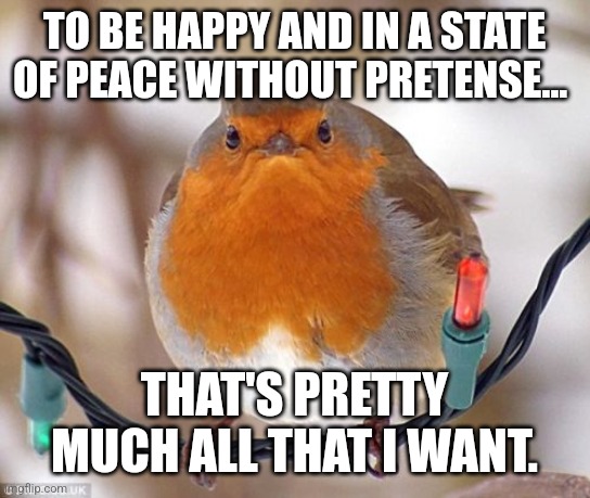 *sighs* | TO BE HAPPY AND IN A STATE OF PEACE WITHOUT PRETENSE... THAT'S PRETTY MUCH ALL THAT I WANT. | image tagged in memes,bah humbug,simothefinlandized,depression sadness hurt pain anxiety,venting | made w/ Imgflip meme maker