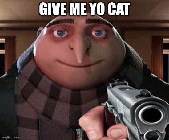 Gru Gun | GIVE ME YO CAT | image tagged in gru gun | made w/ Imgflip meme maker
