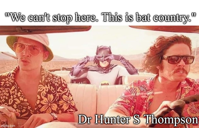 Bat country | "We can't stop here. This is bat country."; Dr Hunter S Thompson | image tagged in hunter s thompson,bat,batman,fear and loathing,fear and loathing in las vegas,campaign | made w/ Imgflip meme maker